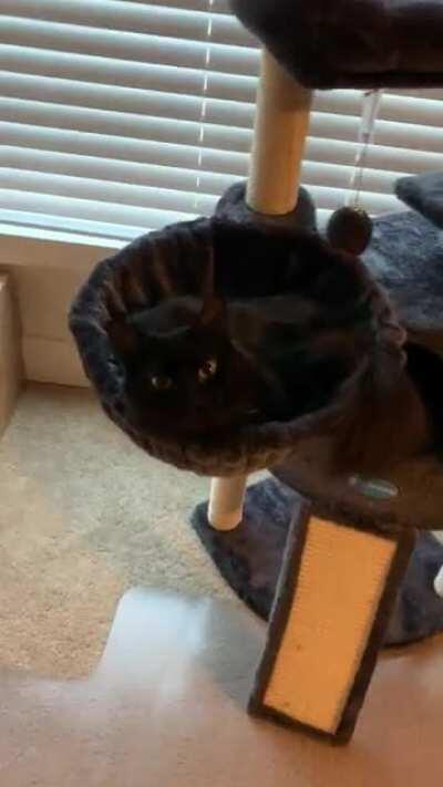 They love having conversations.