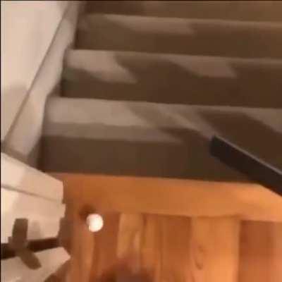 Bro this is interesting