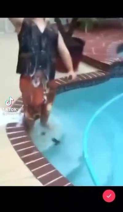 reminder: don’t drink too much this Christmas.