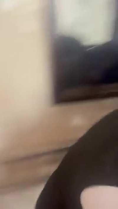 Indian Lawyers duking it out in Court premises