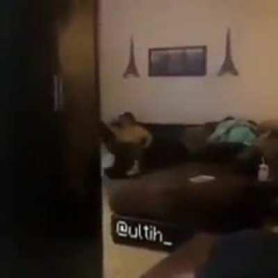 Riczer - Video #3130