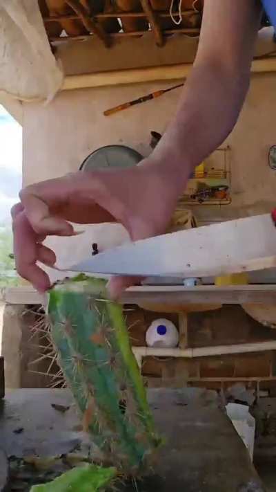 Tutorial de receita de mousse de caquito divertida por @luiz.fba