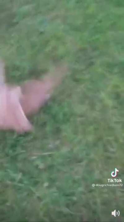 Fly High Little Buddy!!