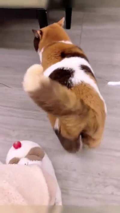 I have a clingy kitten😅🤗