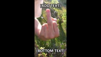 Certified Vespula vulgaris moment.