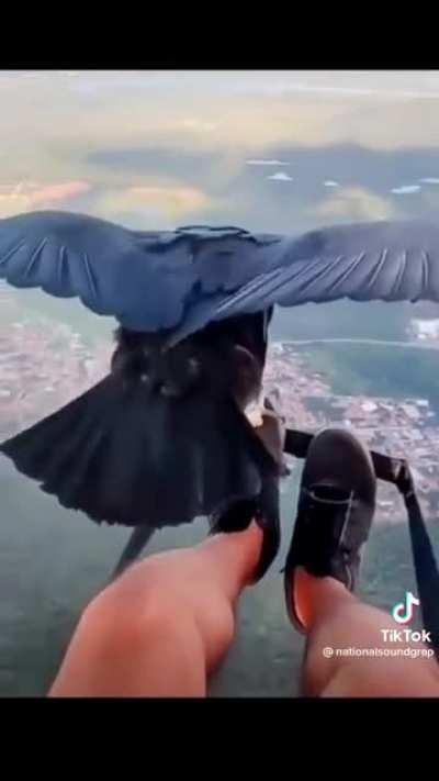 Not something you see everyday [credit to ???]