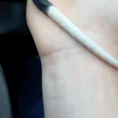 Rescued Common Ringtail Possum Warming Him Self Up In Front Of The Heater