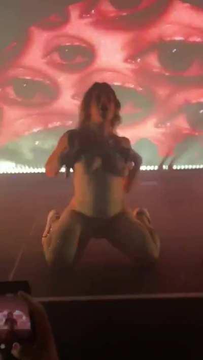 Raleigh Disco Tits flash