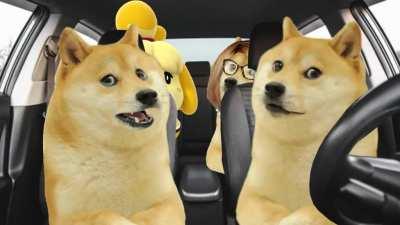 Le Good Taste in Music has arrived