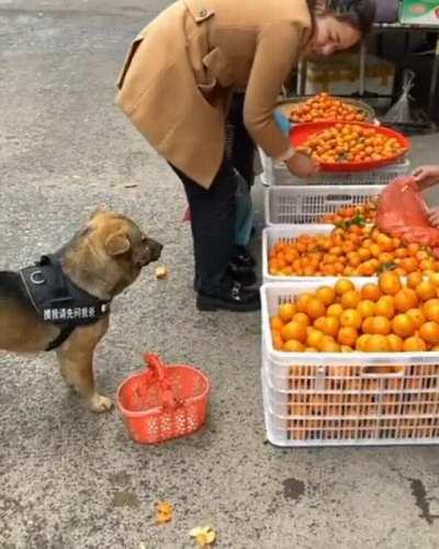 The Little Tap To Get Out Of The Way!