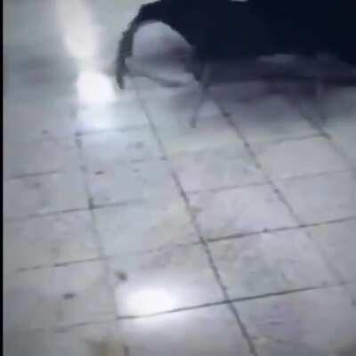 What Jacksepticeye see's in the SCP Containment