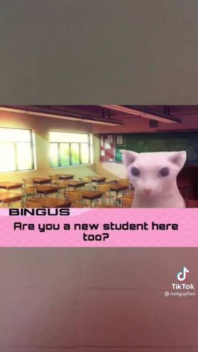 Bingus dating sim 😳🥵