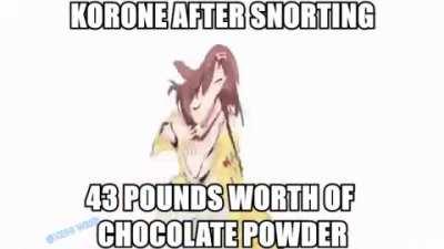 Korone overdoses on chocolate powder