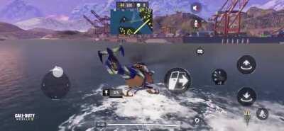 Flying low: Roadkill In water [BR]