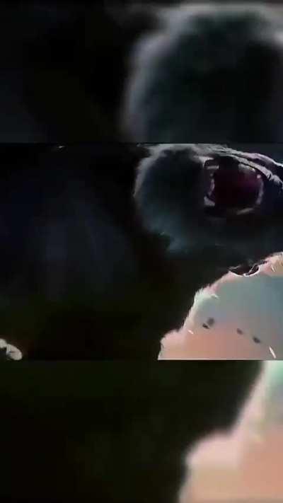 Give me give me POWER