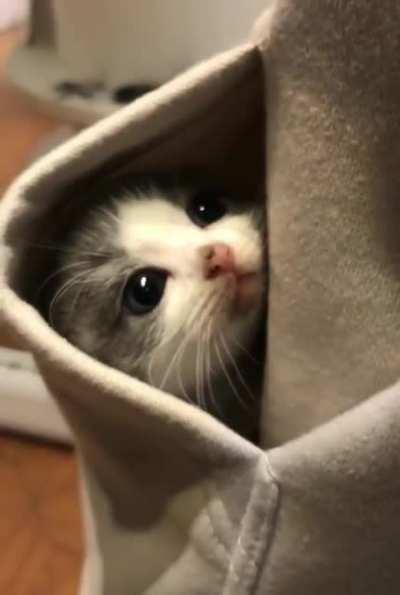 Probably a repost, but that just means people who haven’t seen it before will see it now