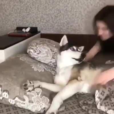 The sound this dog makes!!