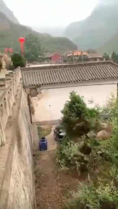 🔥🔥 This monkey in China has learned that rocking the tree-top produces a 'slingshot effect' that launches him to a wall he would otherwise be unable to reach.