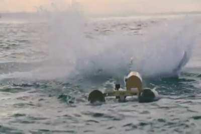 Incredible video of a Great White Shark catching its prey