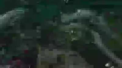 bruh momento numero 2