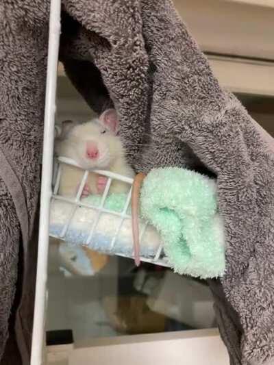 My sweety is winking!!