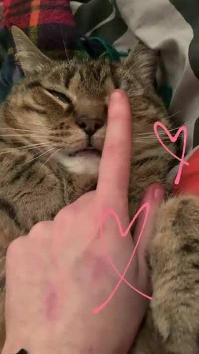 Back from work happiness !