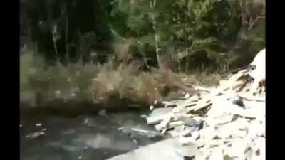 Bigass bombfire take1 of 1