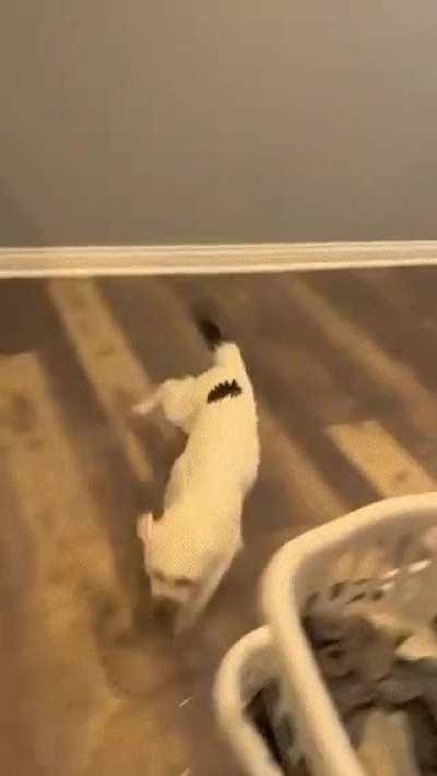 Won’t do that again