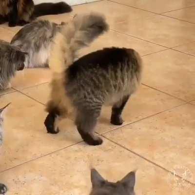 What is this creature?!