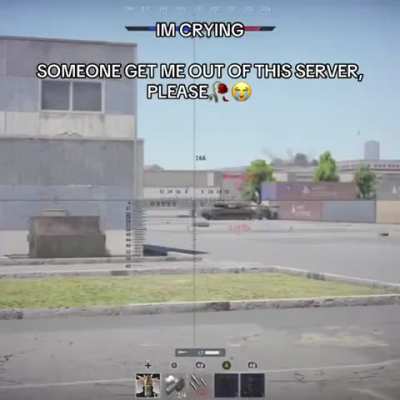 The wildlife of WarThunder is amazing