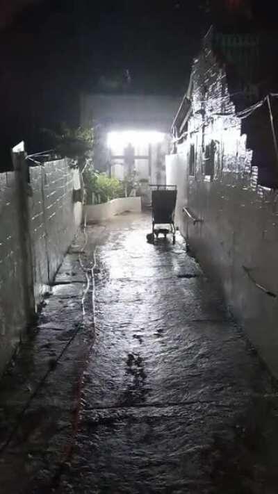 Right now, look at the window for a surprise :)