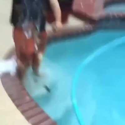 Okay who invited jord to the pool party?