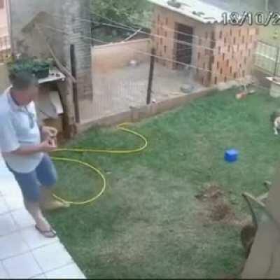 The ant hill was no match for this dumb ass