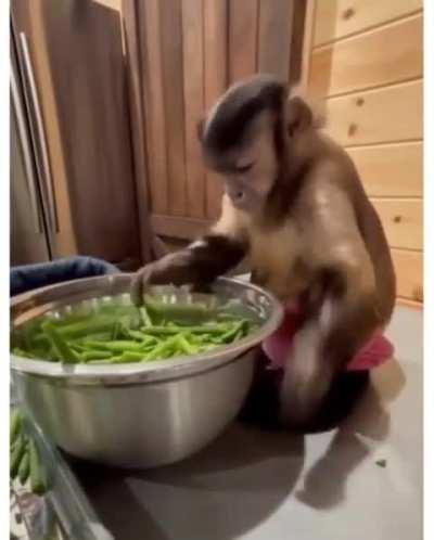 When you can't afford therapy