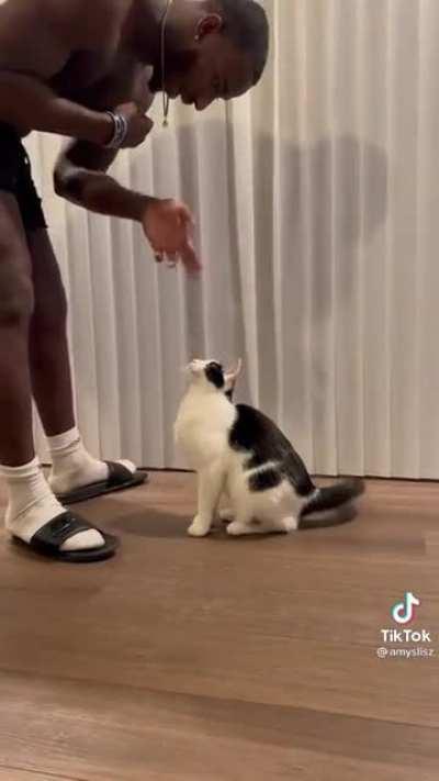 Learn something new daily