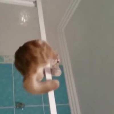 Kedimin eski videosunu buldum babam çekmiş