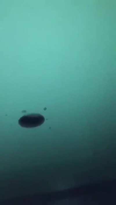 Yall this lowkey feel good?