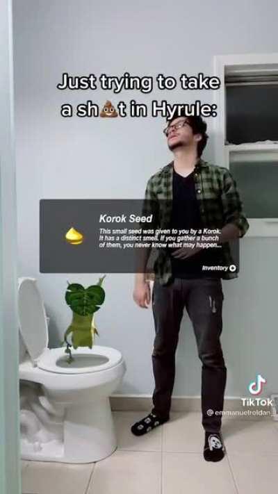 Those damn Koroks are everywhere