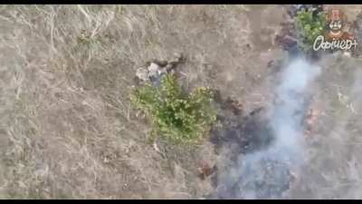 Ukraine War | The Living End | Russian’s UnLiving Themselves | Week of August 4, 2024 | NSFW/NSFL