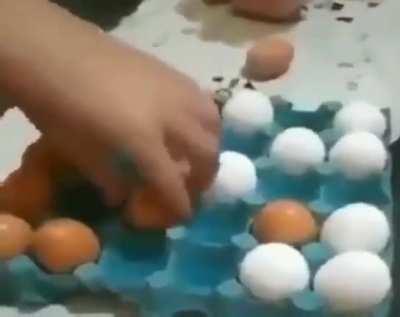 🥚🧠♟️