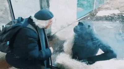 Me explaining the Evilious lore to the local McDonald's cashier