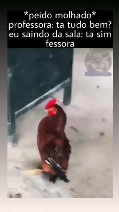 Yullalol - Video #3796