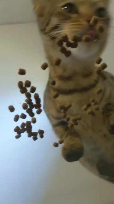 Today I got to eat breakfast on the table!