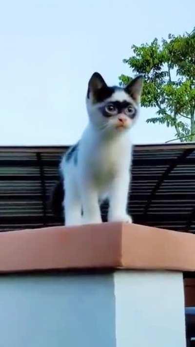 Criminal! He's got the mask and all