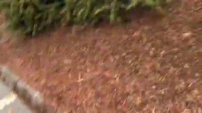 antifa throws a crude IED.