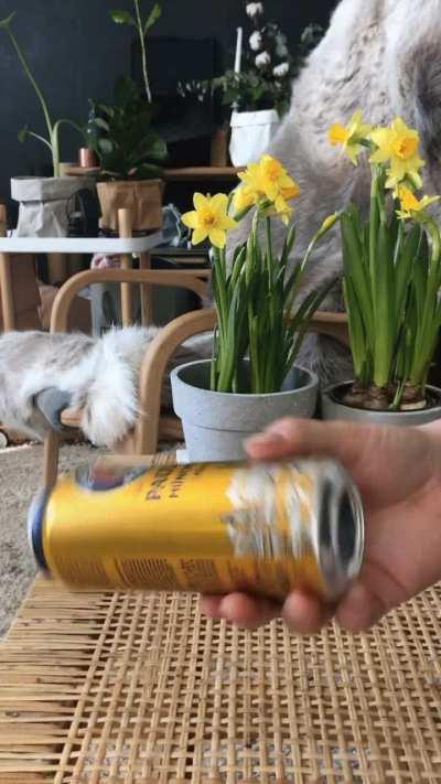 Crack open a cold one