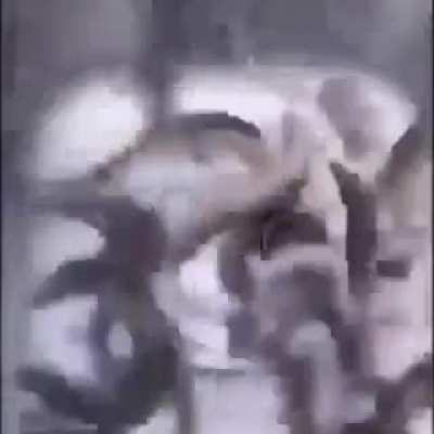 Why can't I just make my title blank, I am scared of words.