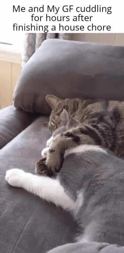 Thats too much work for today