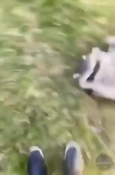 Losercity Dark Souls