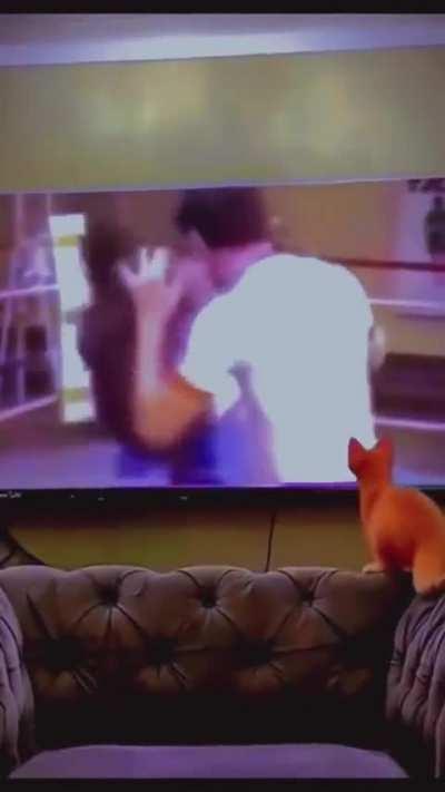 To fight like Myke Tyson